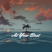 At Your Best (You Are Love) [Reggae Remix] artwork