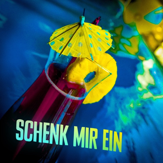 Cover artwork for Schenk mir ein