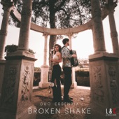 Broken Shake artwork