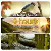 50 Nature Sounds: 3 Hours Relaxing Instrumental Music for Welness Spa & Massage album lyrics, reviews, download