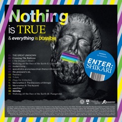 NOTHING IS TRUE & EVERYTHING IS POSSIBLE cover art