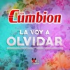 La Voy a Olvidar - Single