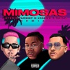 Mimosas - Remix by LATENIGHTJIGGY iTunes Track 1