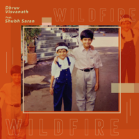 Dhruv Visvanath - Wildfire (feat. Shubh Saran) - Single artwork