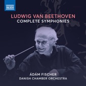 Danish Chamber Orchestra/Ádám Fischer - Symphony No. 4 in B-Flat Major, Op. 60: I. Adagio - Allegro vivace