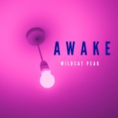 Wildcat Peak - Awake