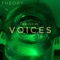 Wandering Voices - Theory lyrics