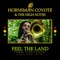 Dub the Land (feat. Jah Rej) - Hornsman Coyote & The High Notes lyrics