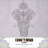 I Don't Mind (Extended) artwork