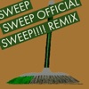 Zachary Bryner - Sweep Sweep Sweep
