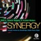 Synergy (Robbie Rivera Juicy Mix) - Sted-E, Hybrid Heights & Crystal Waters lyrics