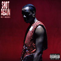 Shot Again-Roy Woods