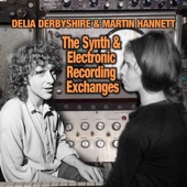 Hannett and Delia Synth Exchanges Track 2 artwork