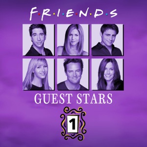 Friends, Guest Stars, Vol. 1 (VOST) - Episode 8