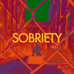 Sobriety (feat. The One Shanti & Circe Muse) - Single by Brooklyn Shanti album reviews, ratings, credits