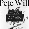 Never Cry Again - Single