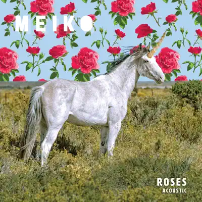 Roses (Acoustic) - Single - Meiko