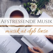 Afstressende Musik - Musik at Dyb Læse artwork