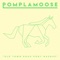 Old Town Road Pony Mashup - Pomplamoose lyrics