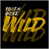 Youth Gone Wild - Single, 2019