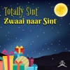 Zwaai Naar Sint - Single