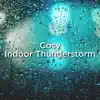 Cosy Indoor Thunderstorm album lyrics, reviews, download