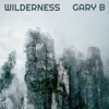 Wilderness - Single