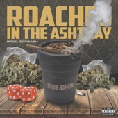 Roaches in the Ashtray