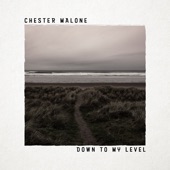 Down to My Level - EP artwork