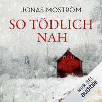 Jonas Moström - So tödlich nah: Nathalie Svensson 1 artwork
