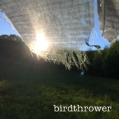 Birdthrower artwork