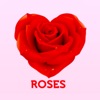 Roses (Radio Edit) - Single