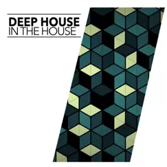 In the House - Single by Deep House album reviews, ratings, credits
