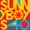 Sunnyboys - What You Need