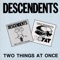 It's a Hectic World - Descendents lyrics