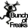 Stream & download Bunch of Freaks - Single