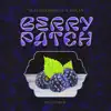 Berry Patch: Blended - EP album lyrics, reviews, download