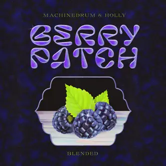 Berry Patch (Halogenix Remix) by Machinedrum & Holly song reviws