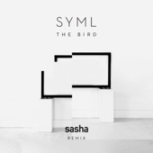 The Bird Sasha Remix (Instrumental) artwork