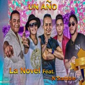 Un Año (feat. N'Samble) artwork