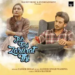Jab Teri Zarurat Thi - Single by Yasser Desai album reviews, ratings, credits
