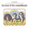 The Best of the Youngbloods, 1988