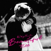 Why You So Beautiful (New Version) artwork