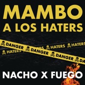 Mambo A Los Haters artwork