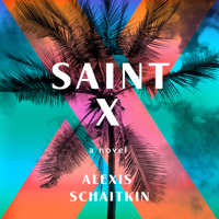 Alexis Schaitkin - Saint X artwork