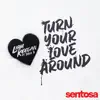 Turn Your Love Around (feat. Dani B) - Single album lyrics, reviews, download