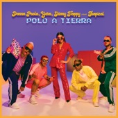 Polo a Tierra (feat. Trapical) artwork