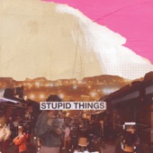 Stupid Things (Single Version) artwork