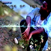 House Of 101 artwork