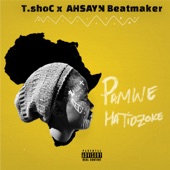 T.Shoc and Ahsayn Beatmaker - Pamwe Hatidzoke (Murenje)